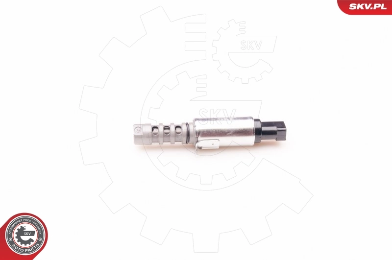 Control Valve, camshaft adjustment 39SKV010