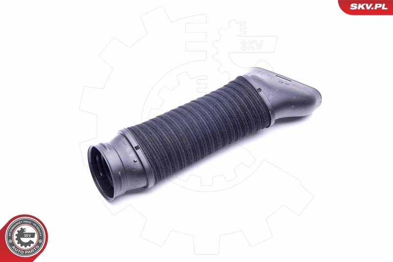 Intake Hose, air filter 43SKV918