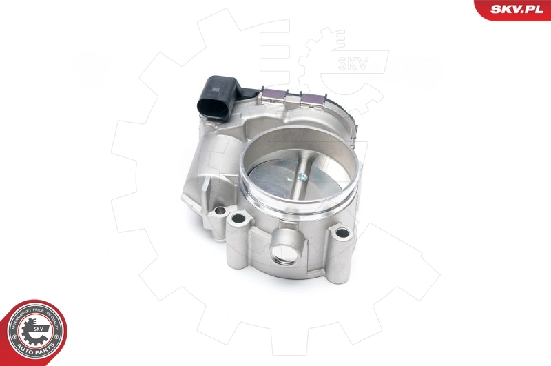 Throttle Body 12SKV052