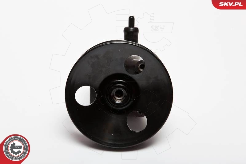 Hydraulic Pump, steering 10SKV033