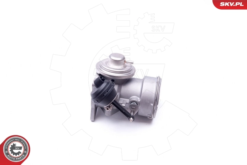 EGR Valve 14SKV091