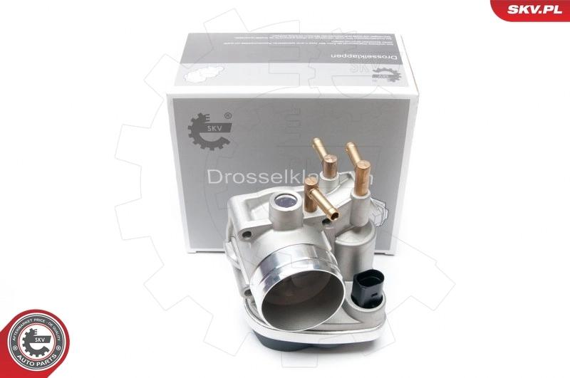 Throttle Body 12SKV047