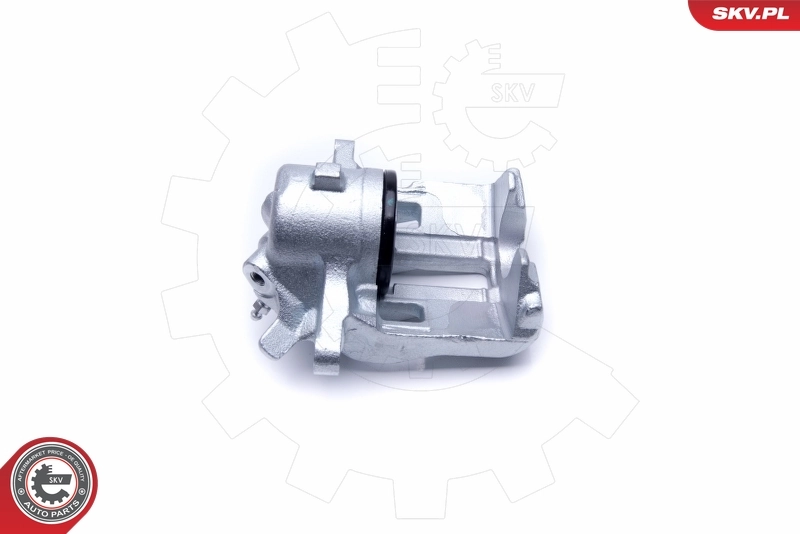 Brake Caliper 50SKV321