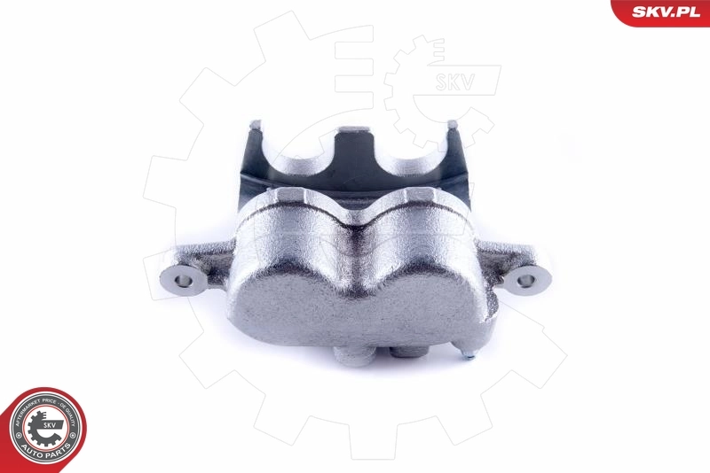 Brake Caliper 50SKV852