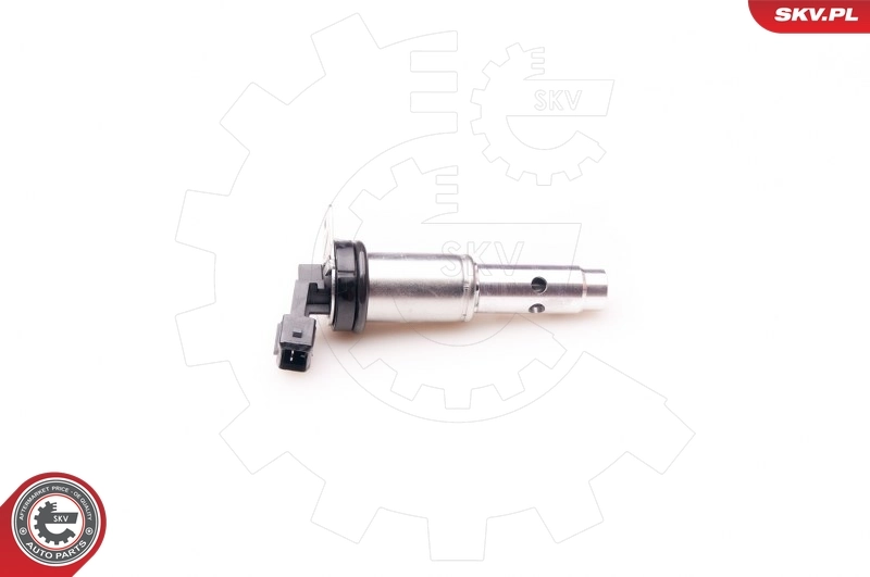 Control Valve, camshaft adjustment 39SKV012