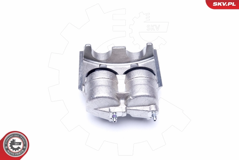 Brake Caliper 42SKV122