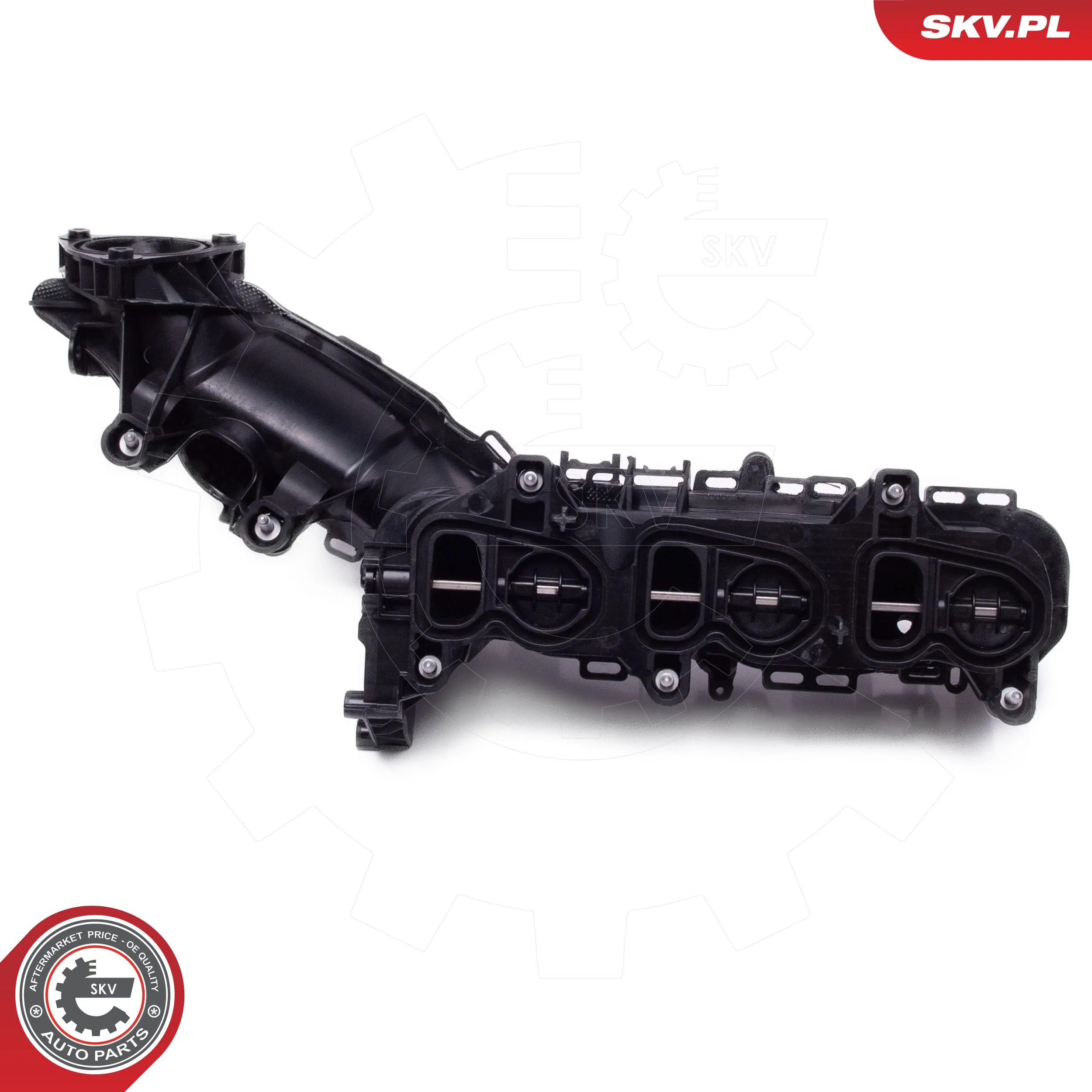 Intake Manifold Module 49SKV079