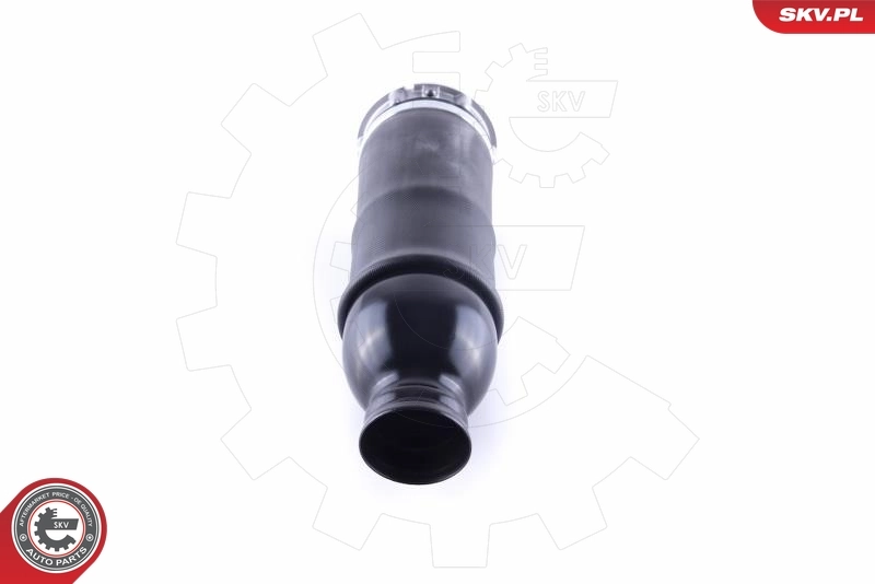 Air Spring, suspension 58SKV043