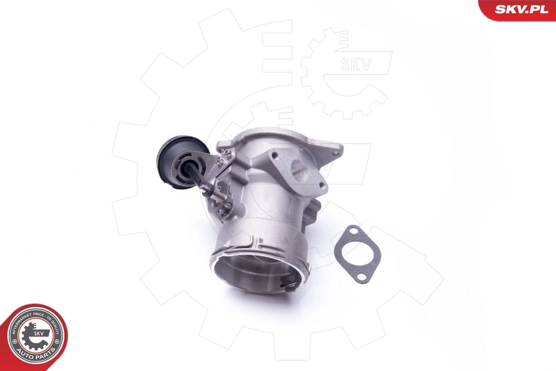EGR Valve 14SKV093