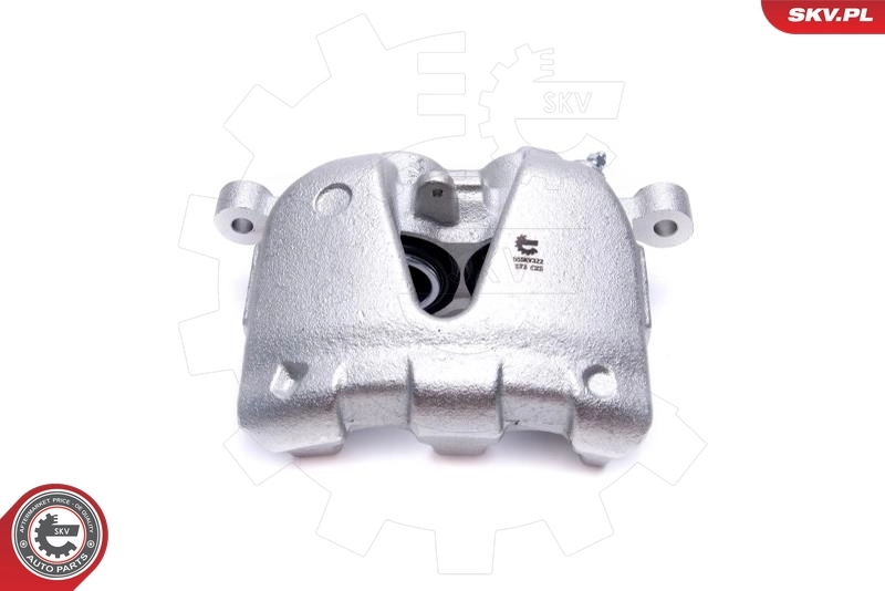 Brake Caliper 55SKV322