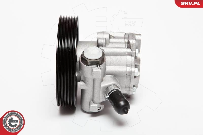 Hydraulic Pump, steering 10SKV023