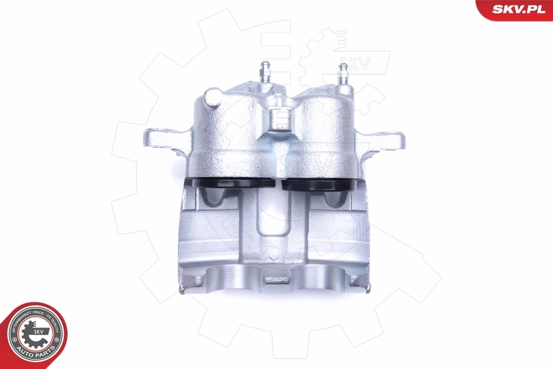 Brake Caliper 42SKV712