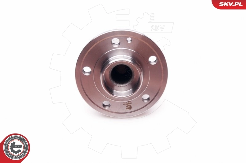 Wheel Bearing Kit 29SKV144