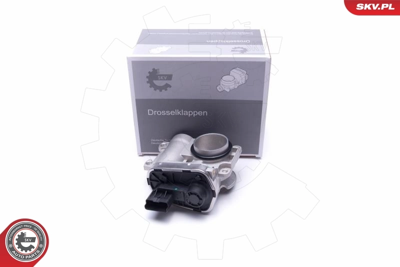 Throttle Body 12SKV102