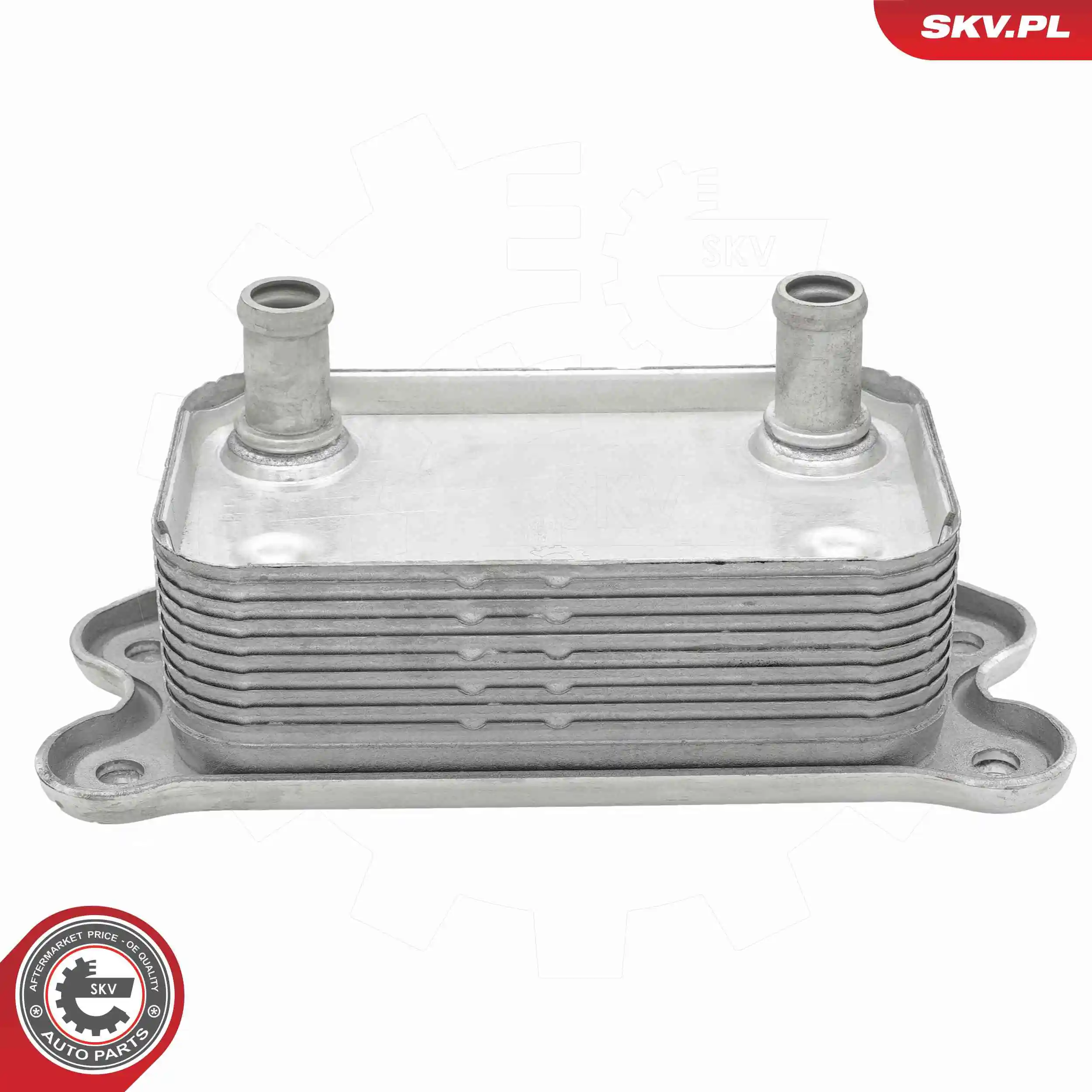 Oil Cooler, engine oil 31SKV280