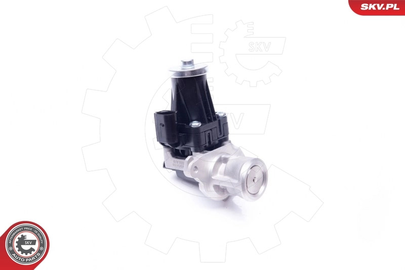 EGR Valve 14SKV159