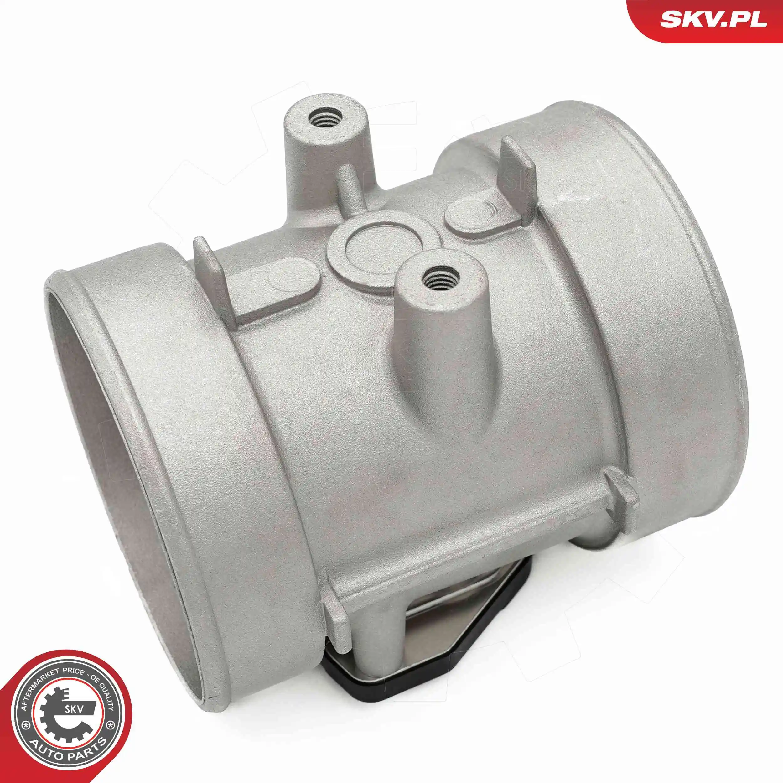 Mass Air Flow Sensor 07SKV217