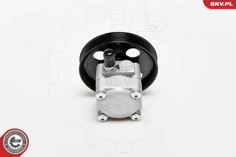 Hydraulic Pump, steering 10SKV177