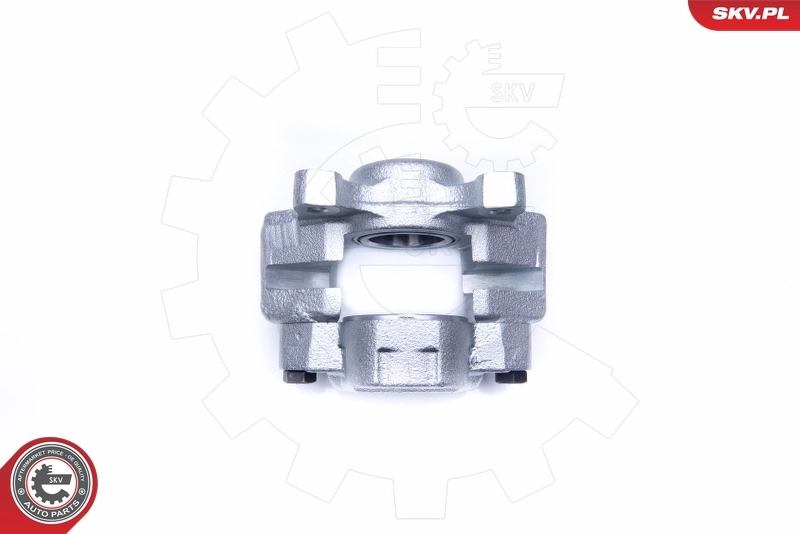 Brake Caliper 45SKV282