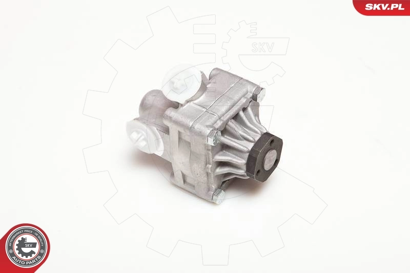 Hydraulic Pump, steering 10SKV017