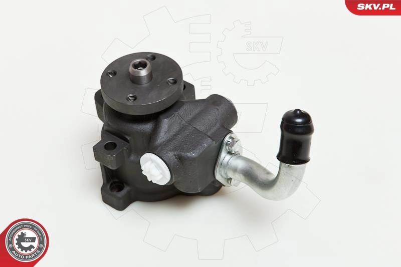 Hydraulic Pump, steering 10SKV036