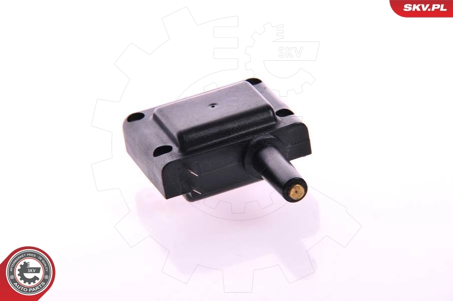 ESEN SKV 03SKV093 Ignition Coil