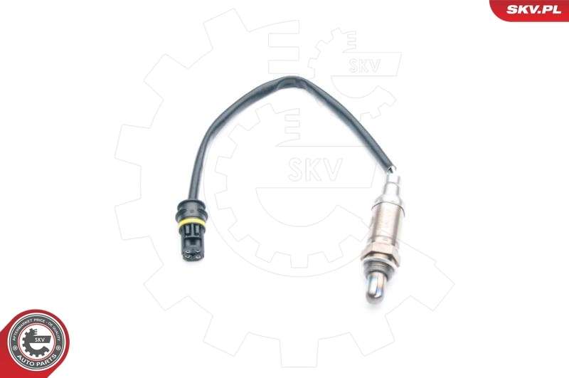 Oxygen Sensor 09SKV666