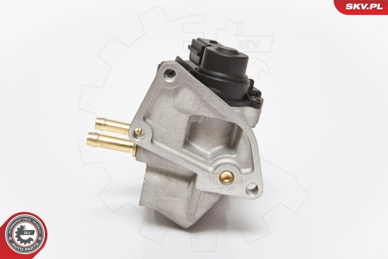 EGR Valve 14SKV086