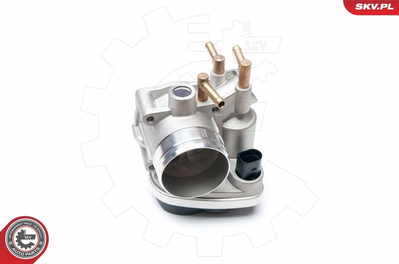 Throttle Body 12SKV047