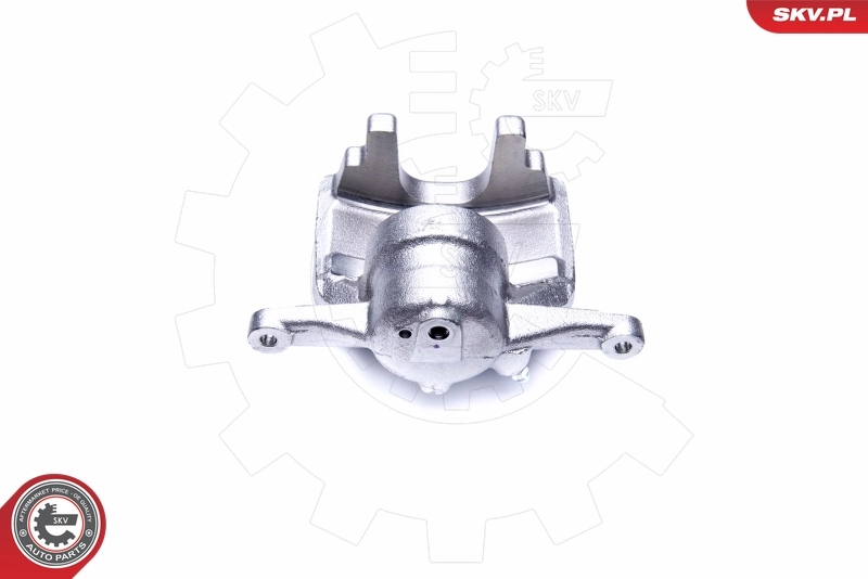 Brake Caliper 44SKV871