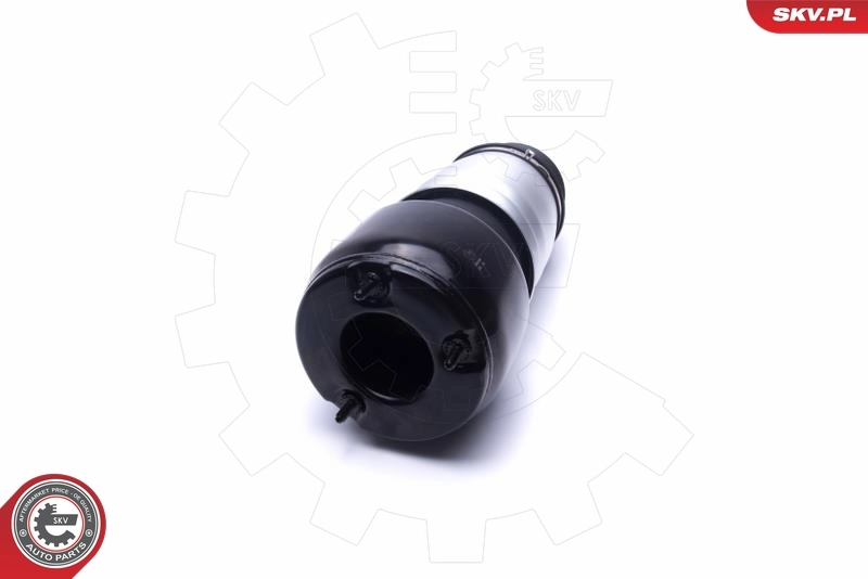 Air Suspension Strut 58SKV064
