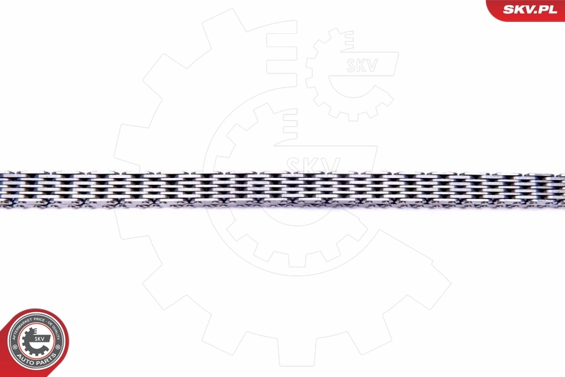 Timing Chain Kit 21SKV154