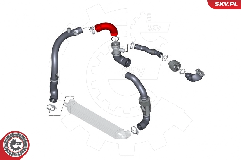 Charge Air Hose 43SKV363