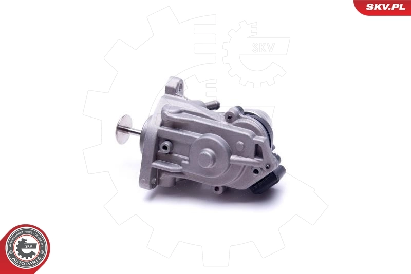 EGR Valve 14SKV233