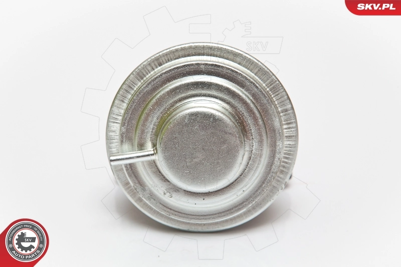 EGR Valve 14SKV051