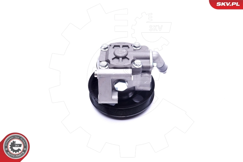 Hydraulic Pump, steering 10SKV038