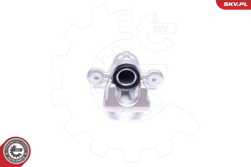 Brake Caliper 42SKV604