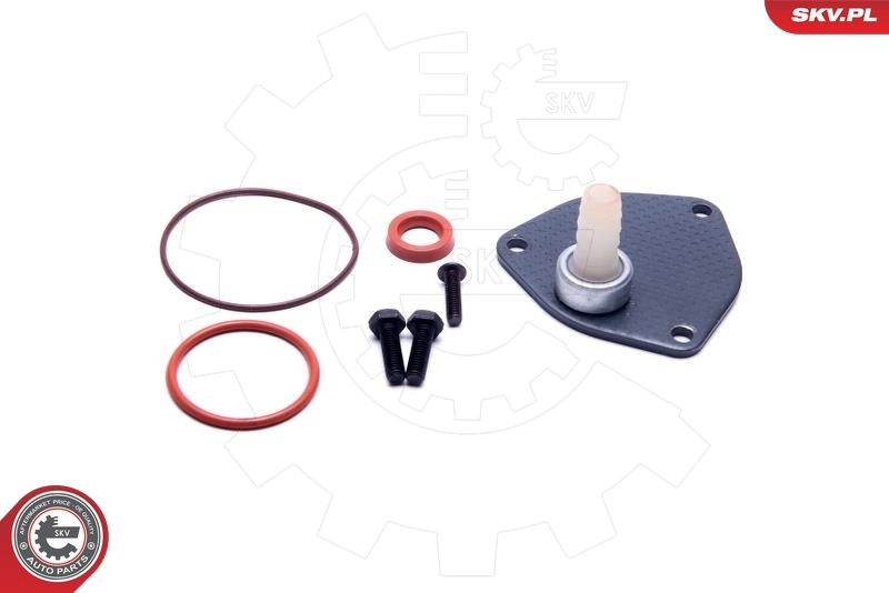 Repair Set, vacuum pump (braking system) 18SKV806