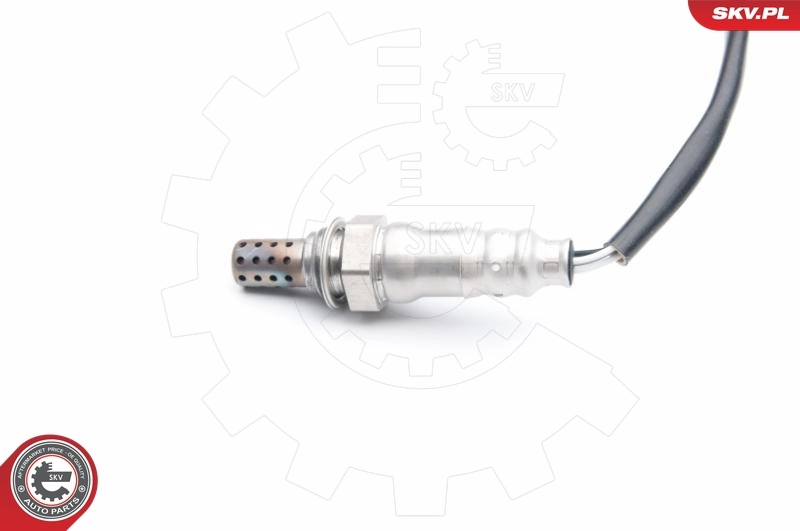 Oxygen Sensor 09SKV717