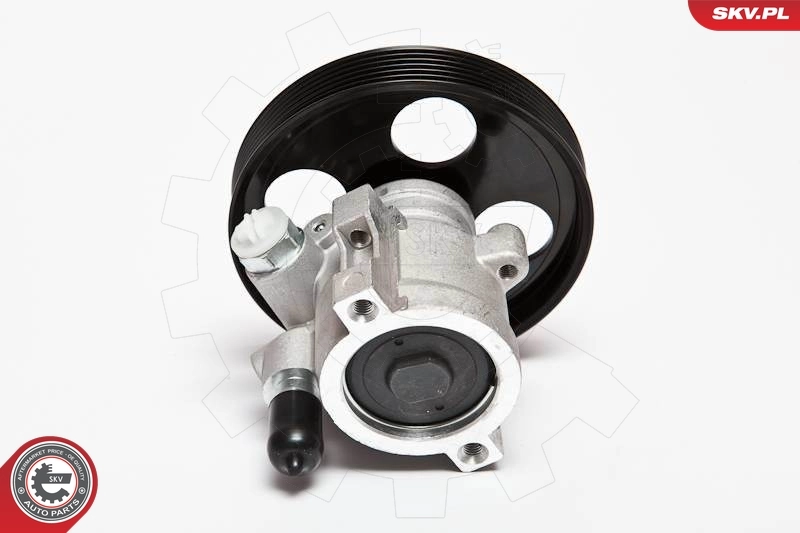 ESEN SKV 10SKV069 Hydraulic Pump, steering