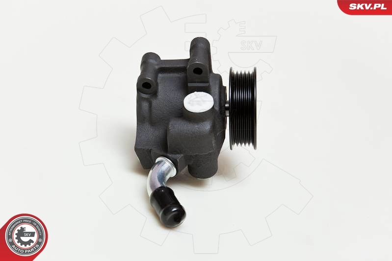 Hydraulic Pump, steering 10SKV035