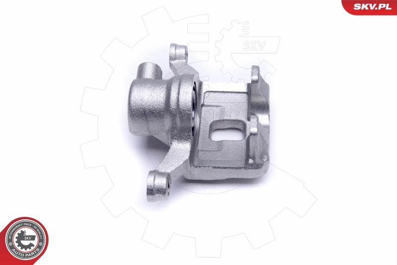 Brake Caliper 50SKV443