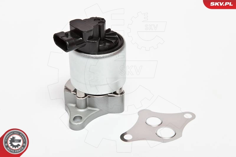 EGR Valve 14SKV042