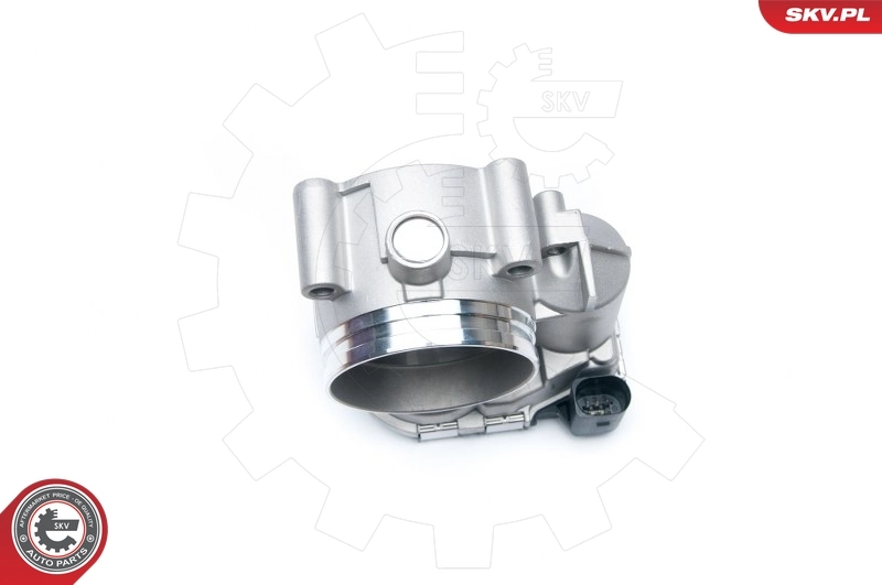 Throttle Body 12SKV052