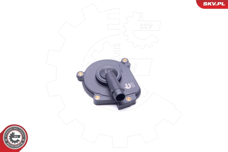 Oil Separator, crankcase ventilation 31SKV062