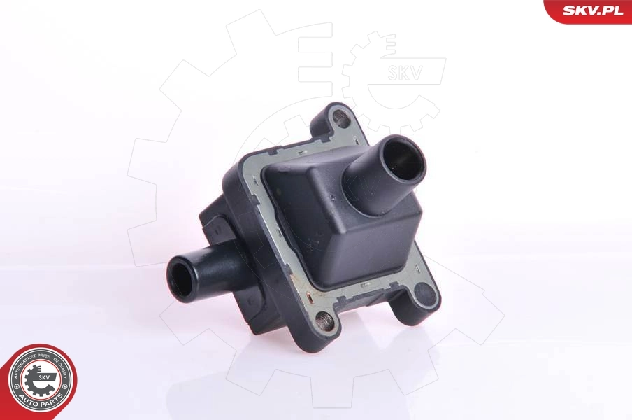 Ignition Coil 03SKV009