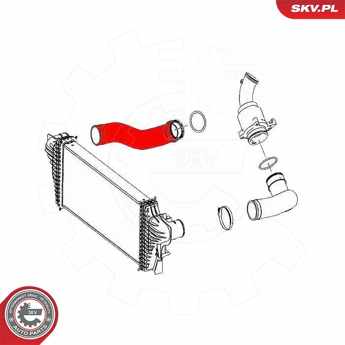 Charge Air Hose 43SKV479