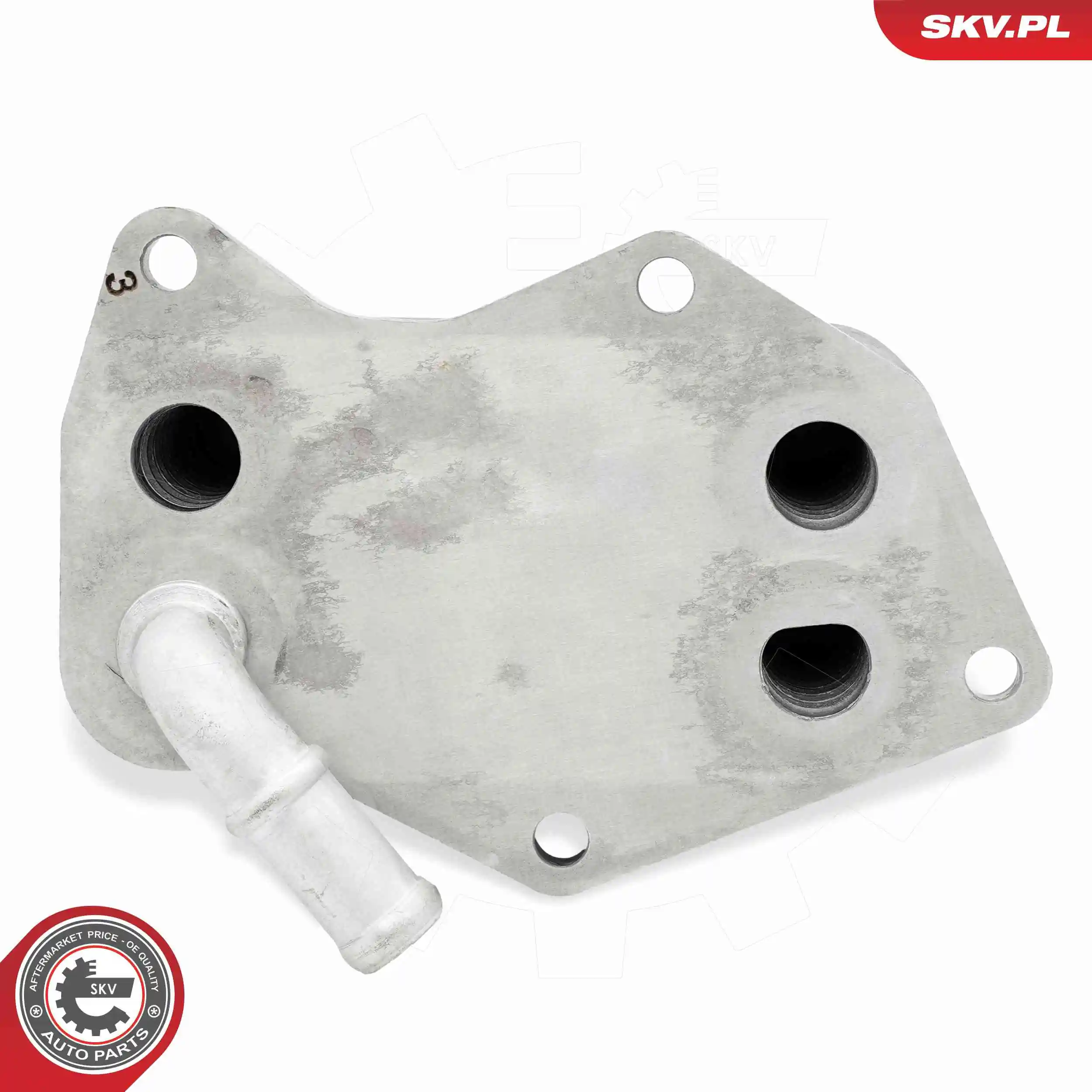 Oil Cooler, engine oil 31SKV290