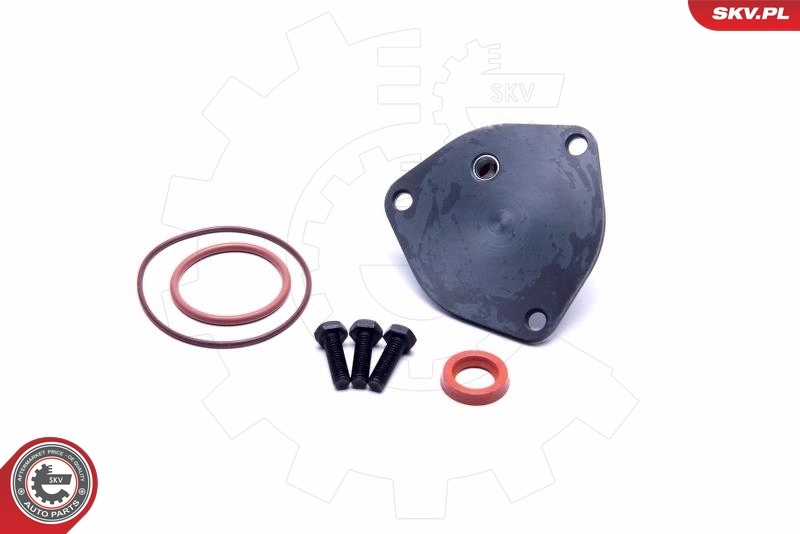 Repair Set, vacuum pump (braking system) 18SKV800