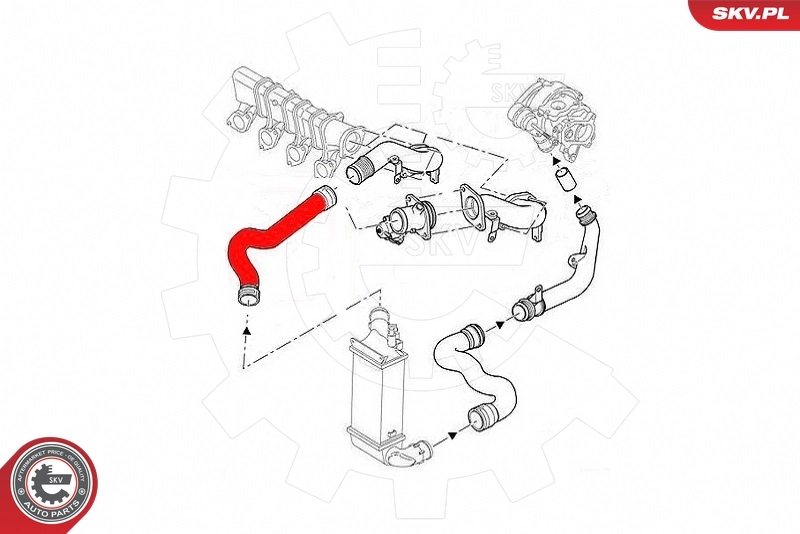 Charge Air Hose 43SKV301